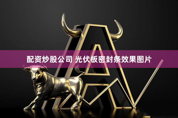 配资炒股公司 光伏板密封条效果图片